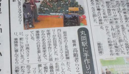 新聞に掲載されたツリー